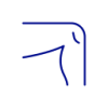 Térd